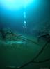River Under Sea (3)